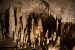 Gole del Genga, Le Grotte di Frasassi